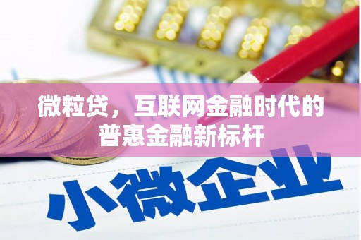 浑源微粒贷，互联网金融时代的普惠金融新标杆