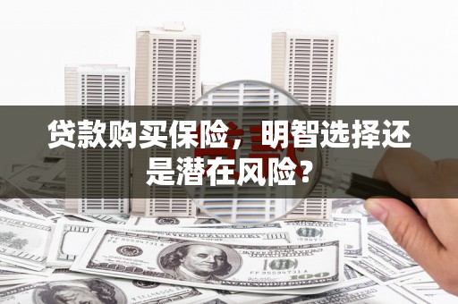 浑源贷款购买保险，明智选择还是潜在风险？