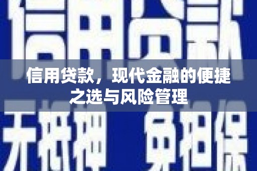 浑源信用贷款，现代金融的便捷之选与风险管理