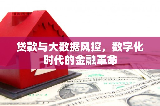 浑源贷款与大数据风控，数字化时代的金融革命