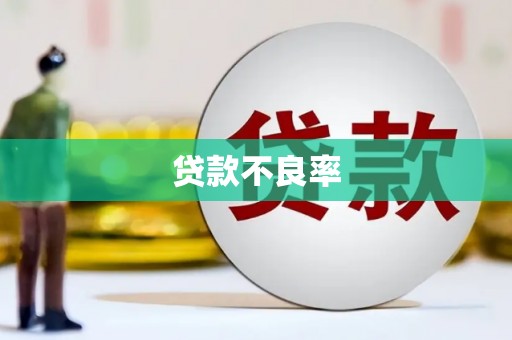 浑源贷款不良率