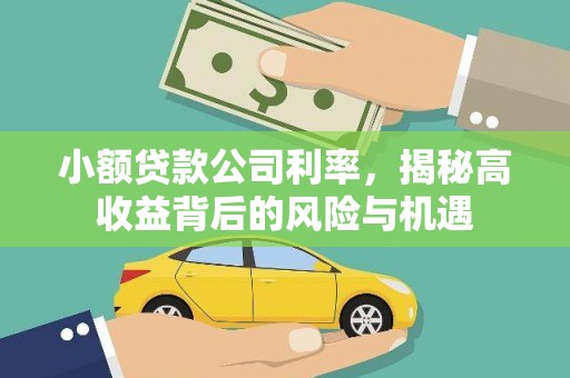 浑源小额贷款公司利率，揭秘高收益背后的风险与机遇
