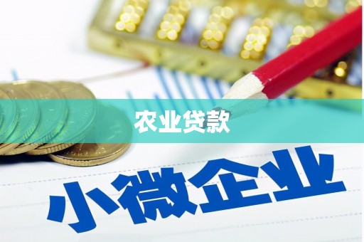 浑源农业贷款