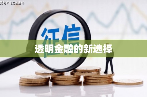 浑源透明金融的新选择