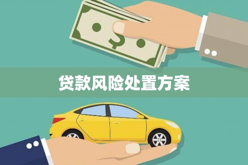 浑源贷款风险处置方案