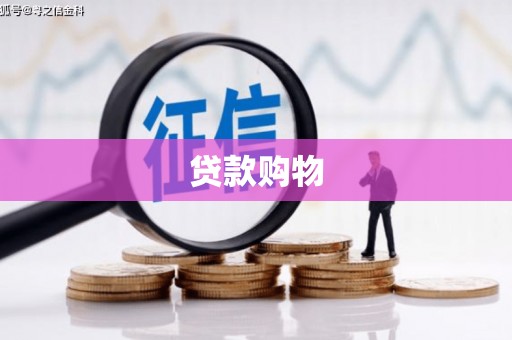 浑源贷款购物