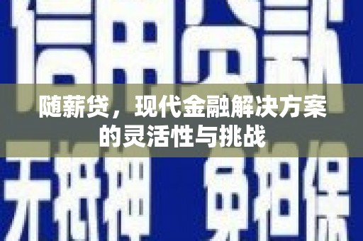 浑源随薪贷，现代金融解决方案的灵活性与挑战