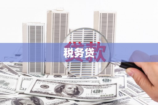浑源税务贷