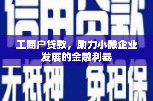 浑源工商户贷款，助力小微企业发展的金融利器