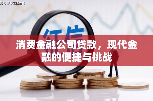 浑源消费金融公司贷款，现代金融的便捷与挑战