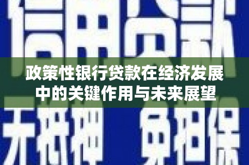 浑源政策性银行贷款在经济发展中的关键作用与未来展望