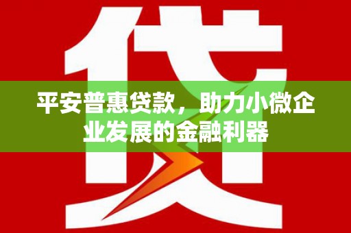 浑源平安普惠贷款，助力小微企业发展的金融利器