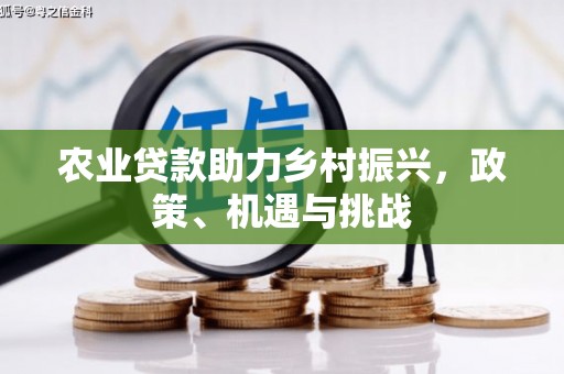 浑源农业贷款助力乡村振兴，政策、机遇与挑战