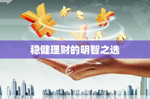 浑源稳健理财的明智之选
