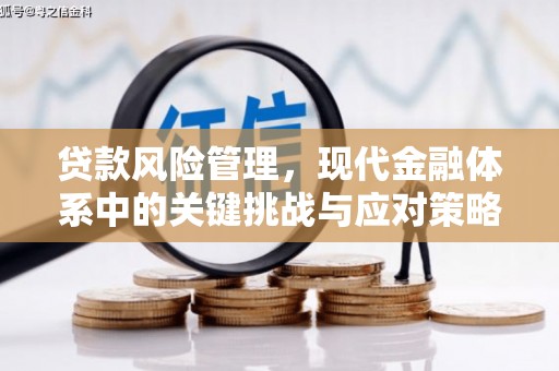 浑源贷款风险管理，现代金融体系中的关键挑战与应对策略