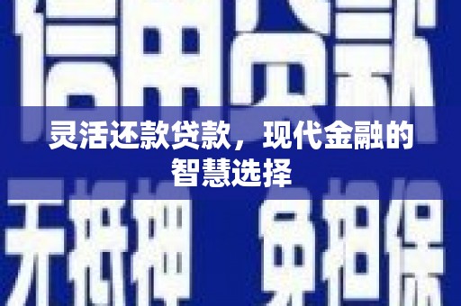 浑源灵活还款贷款，现代金融的智慧选择
