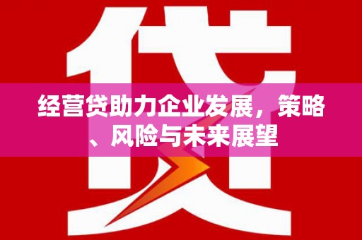 浑源经营贷助力企业发展，策略、风险与未来展望
