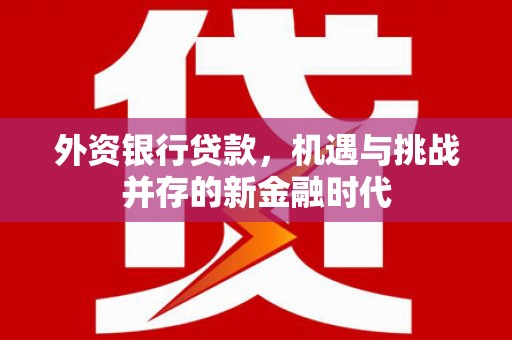 浑源外资银行贷款，机遇与挑战并存的新金融时代