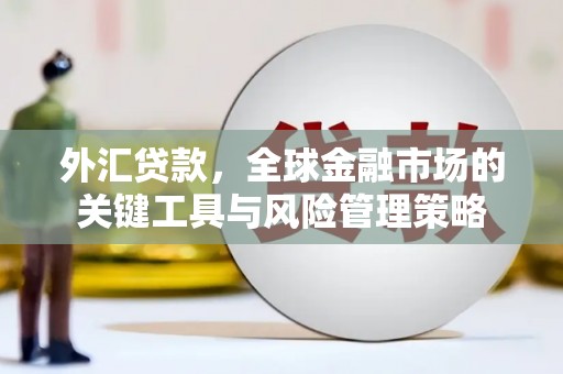 浑源外汇贷款，全球金融市场的关键工具与风险管理策略