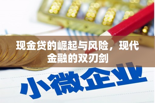 浑源现金贷的崛起与风险，现代金融的双刃剑