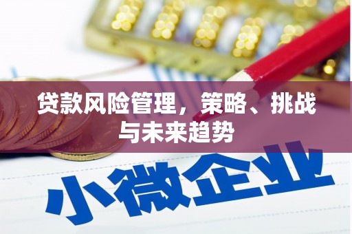 浑源贷款风险管理，策略、挑战与未来趋势