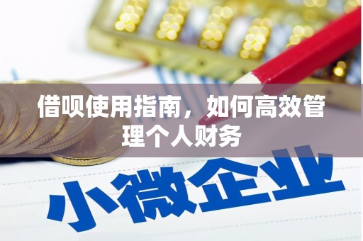 浑源借呗使用指南，如何高效管理个人财务