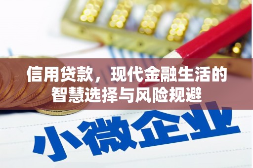 浑源信用贷款，现代金融生活的智慧选择与风险规避