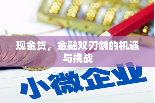 浑源现金贷，金融双刃剑的机遇与挑战