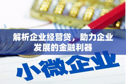 浑源解析企业经营贷，助力企业发展的金融利器