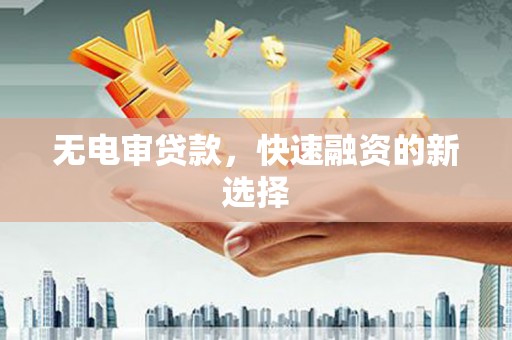 浑源无电审贷款，快速融资的新选择