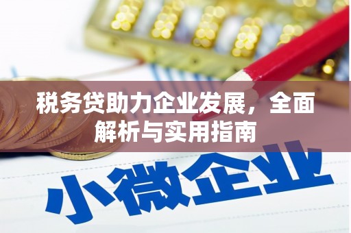 浑源税务贷助力企业发展，全面解析与实用指南