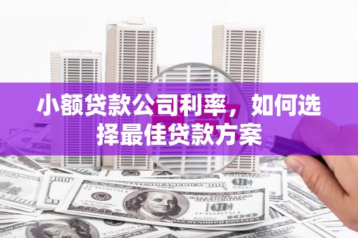浑源小额贷款公司利率，如何选择最佳贷款方案