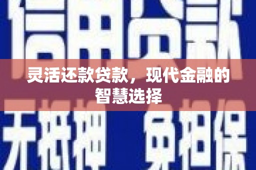 浑源灵活还款贷款，现代金融的智慧选择
