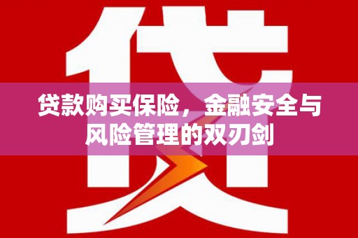 浑源贷款购买保险，金融安全与风险管理的双刃剑