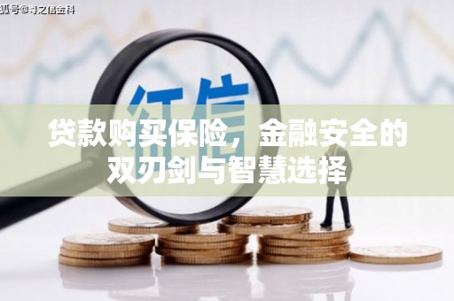浑源贷款购买保险，金融安全的双刃剑与智慧选择