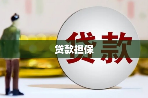 浑源贷款担保