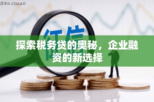 浑源探索税务贷的奥秘，企业融资的新选择
