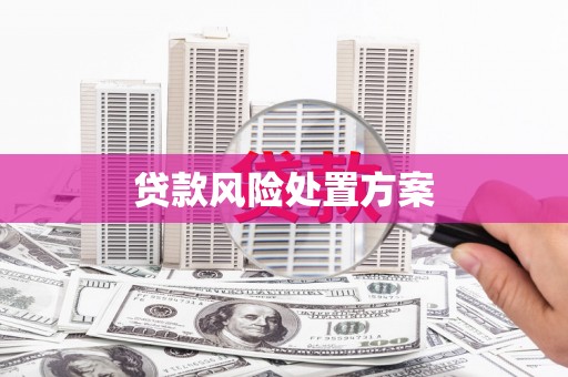浑源贷款风险处置方案