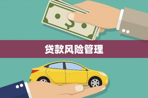 浑源贷款风险管理
