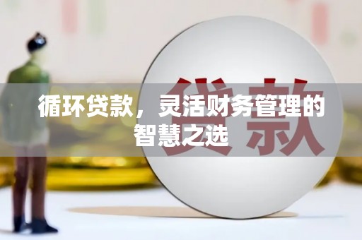 浑源循环贷款，灵活财务管理的智慧之选