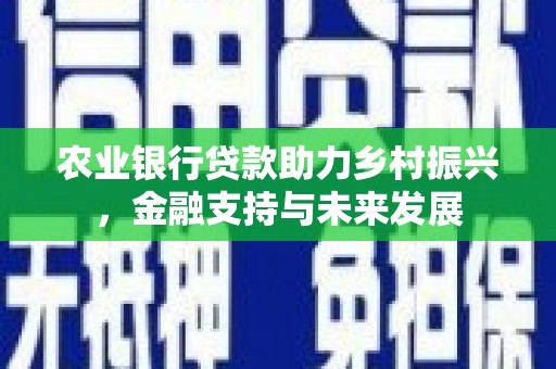 浑源农业银行贷款助力乡村振兴，金融支持与未来发展