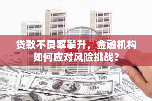 浑源贷款不良率攀升，金融机构如何应对风险挑战？