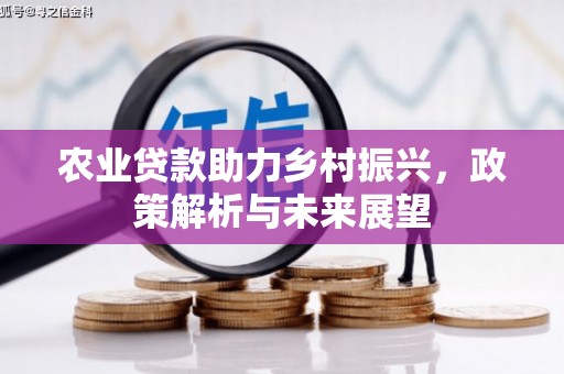 浑源农业贷款助力乡村振兴，政策解析与未来展望