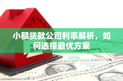 浑源小额贷款公司利率解析，如何选择最优方案