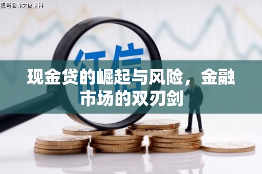 浑源现金贷的崛起与风险，金融市场的双刃剑