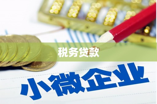 浑源税务贷款