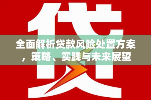 浑源全面解析贷款风险处置方案，策略、实践与未来展望