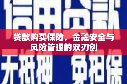 浑源贷款购买保险，金融安全与风险管理的双刃剑
