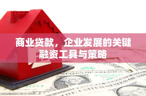 浑源商业贷款，企业发展的关键融资工具与策略