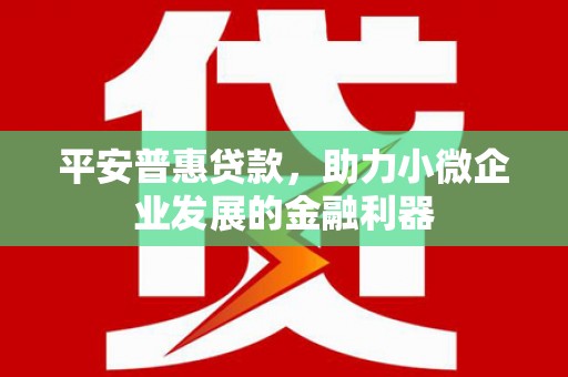 浑源平安普惠贷款，助力小微企业发展的金融利器